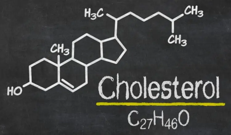 Is Cholesterol Bad for You? Here's What to Know When You're Vegan