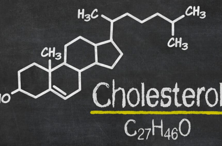 Cholesterol Confusion | What's The Truth About Cholesterol? | WorldofVegan.com | #cholesterol #diet #health #fitness #healthyheart #vegandiet