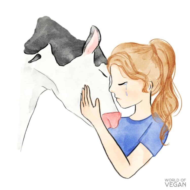 Draw My Life Animal Videos | WorldofVegan.com