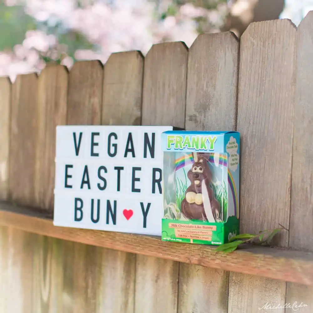Vegan Chocolate Easter Bunny in a box named franky from No Whey Foods