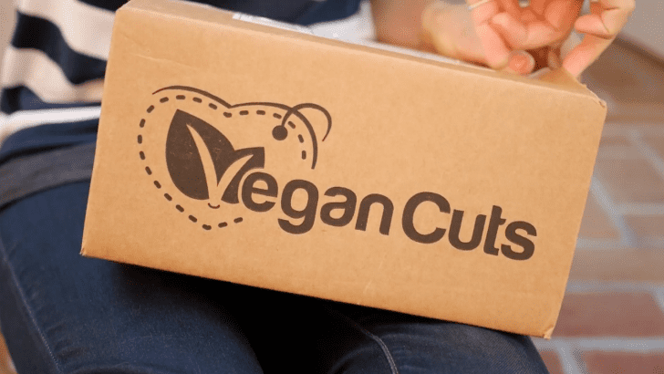 Vegan Cuts Snack Box Delivered Monthly!