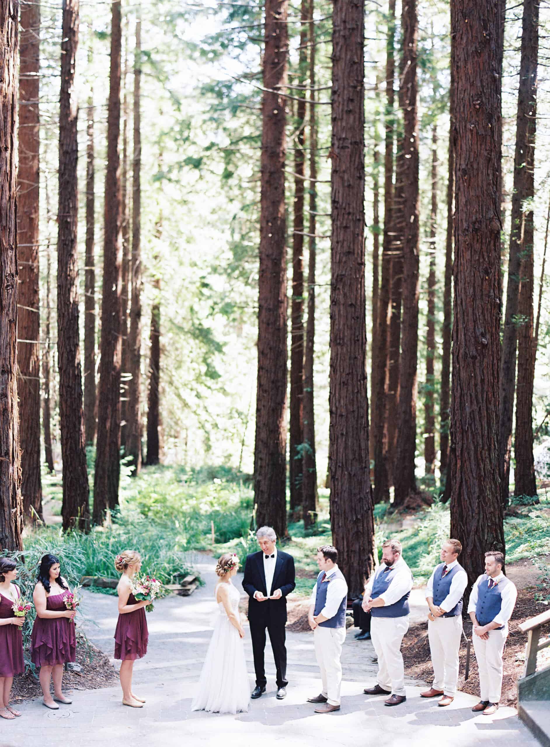 Vegan wedding ceremony in a redwood forest with seated guests.