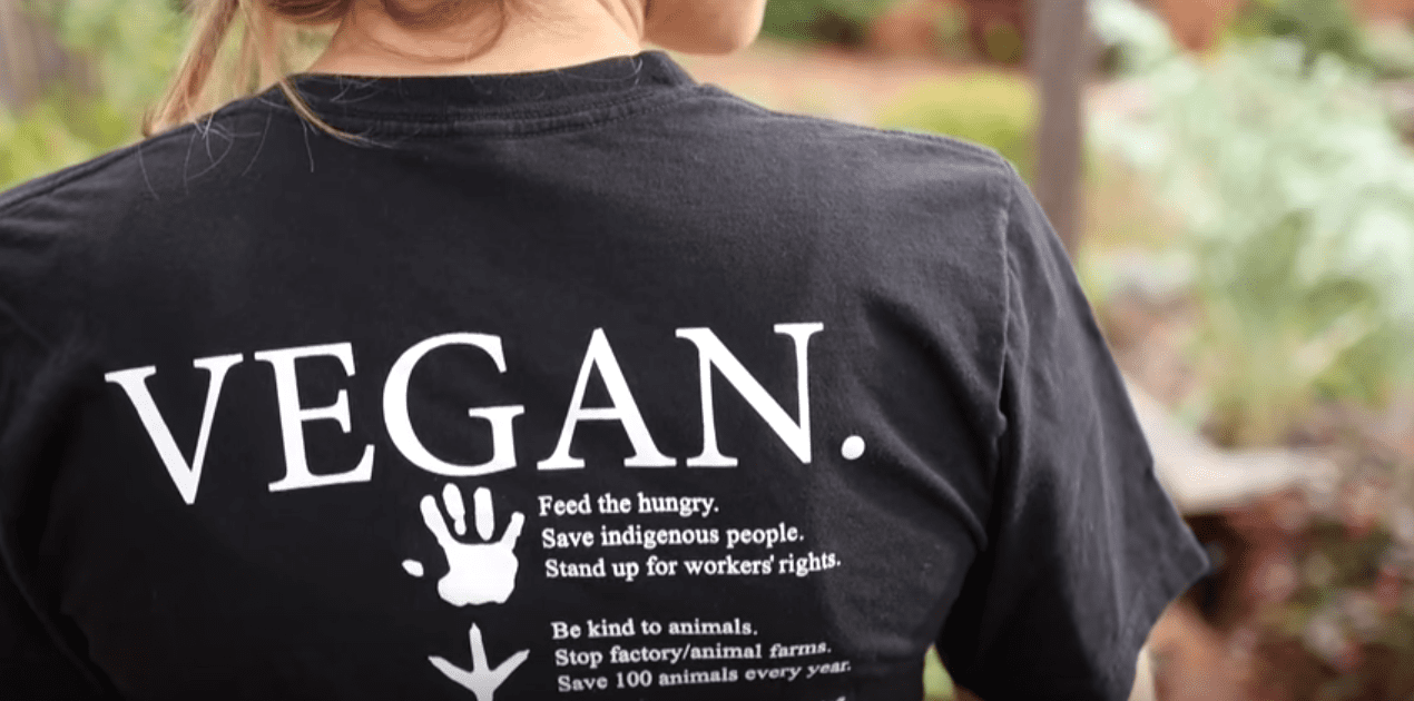 vegan gains t shirt