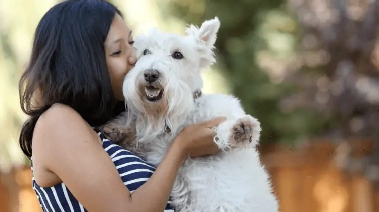 How to Give Your Home a Cruelty-Free Makeover