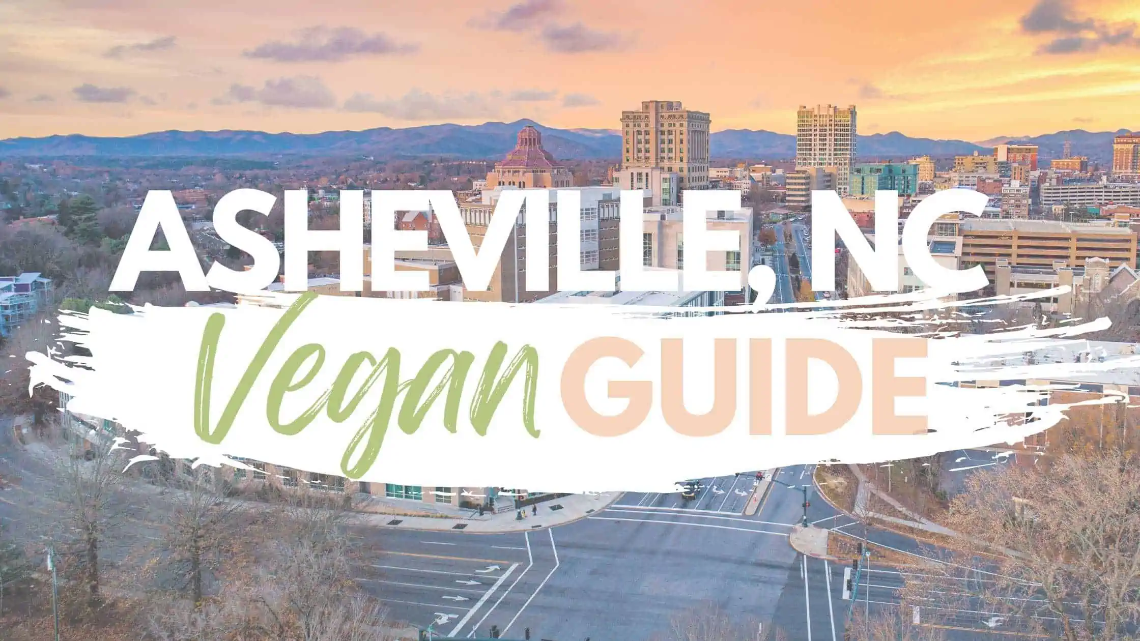 Asheville, NC vegetarian and vegan restaurants guide graphic.