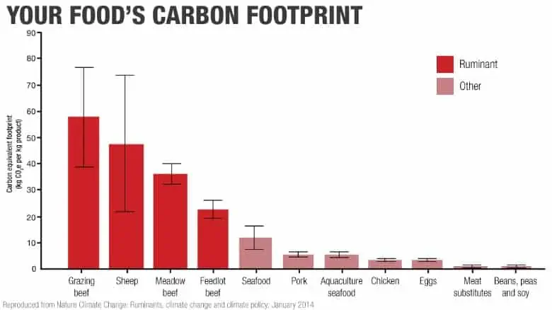 meat carbon footprint