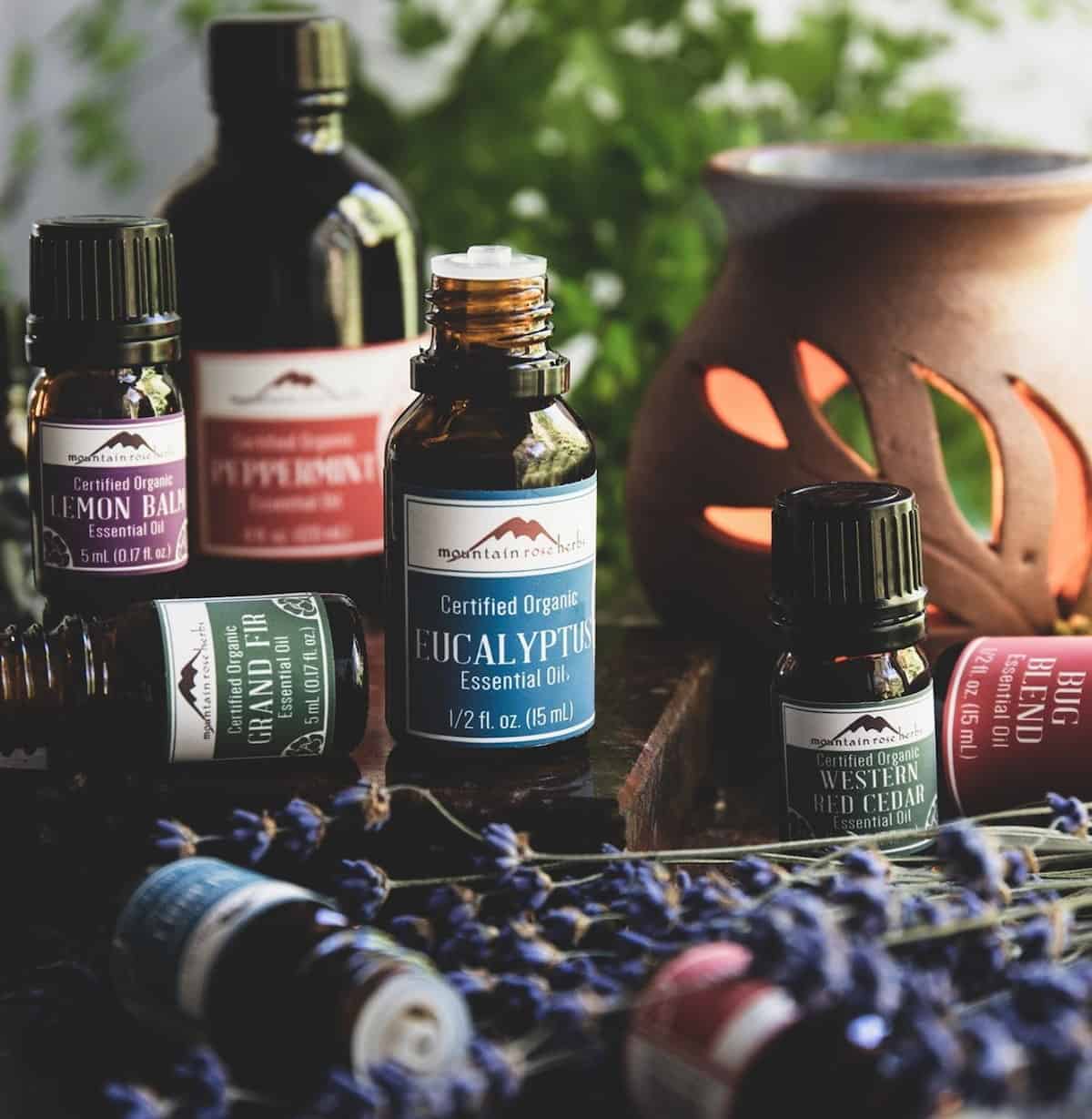 An arrangement of essential oils.