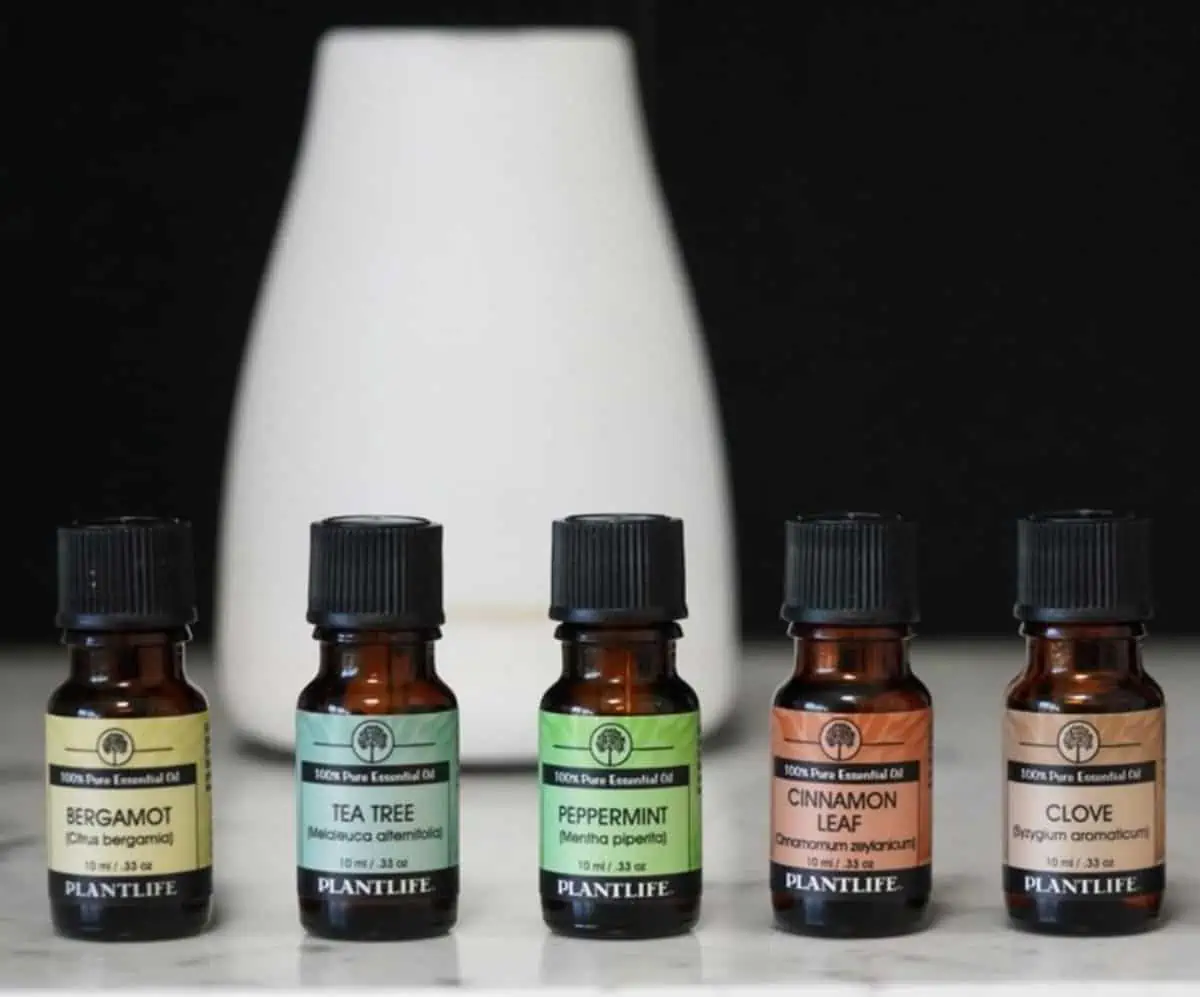 A row of essential oils against a dark background.