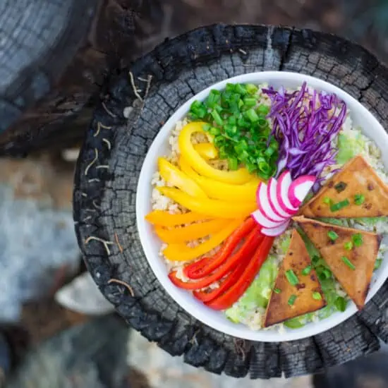 Grilled Tofu Triangles | WorldofVegan.com