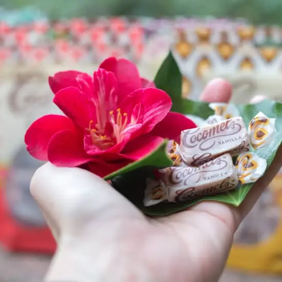 Women's hand holding out two vegan caramels wrapped in wrappers from Cocomels in Valentine's Day setting.
