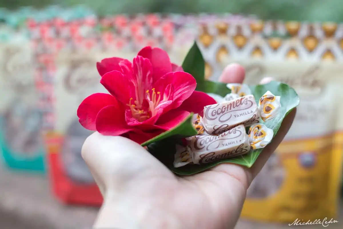 A hand holding out vegan Cocomels candies with a pink flower.