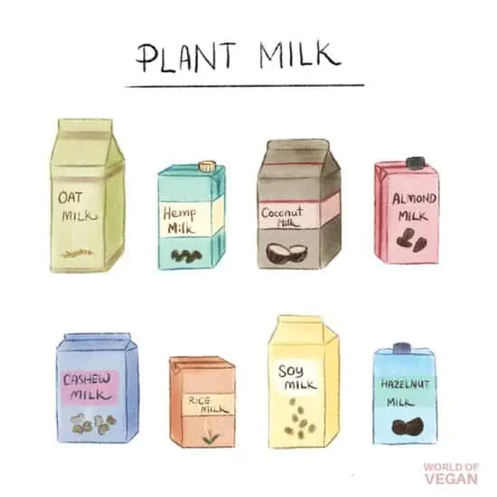 Art illustration of vegan milk options including soy, almond, oat, hemp, rice, and coconut.