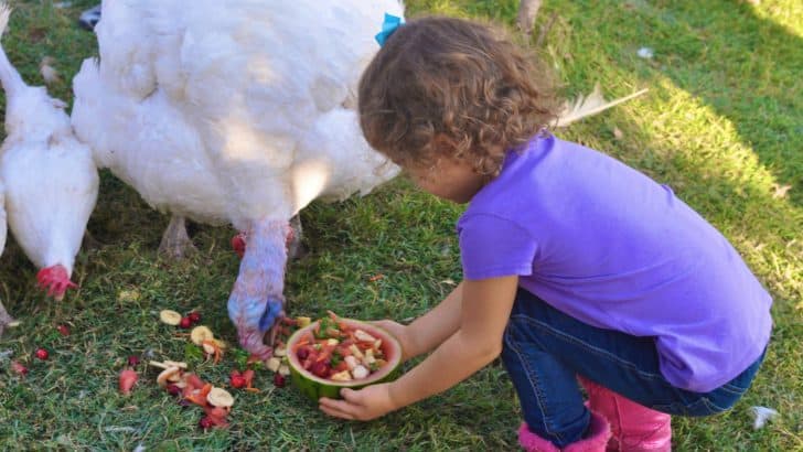 Guide to Vegan Parenting