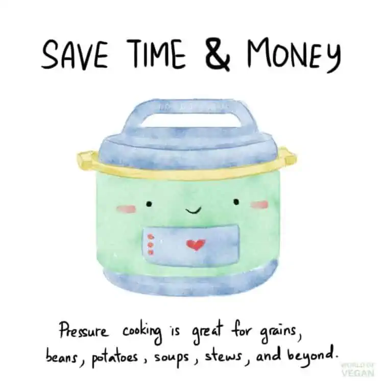 Instant Pot Art Save Time and MoneyWorld of Vegan