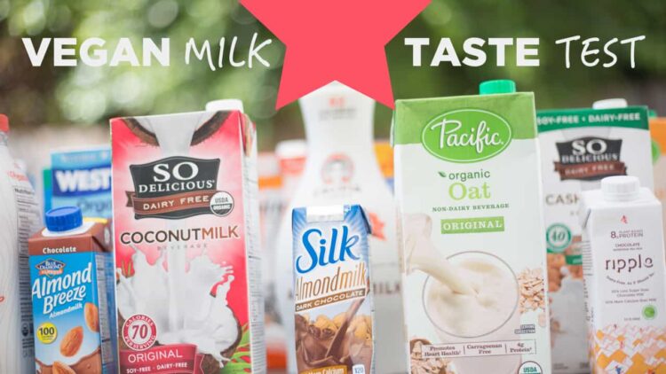 Vegan Milk Guide (Dairy-Free Milk Options + Best Brands)