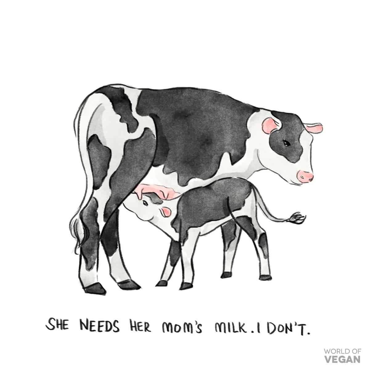 Vegan art illustration of a mama cow with her baby calf suckling, and the words "She needs her mom's milk—I don't."