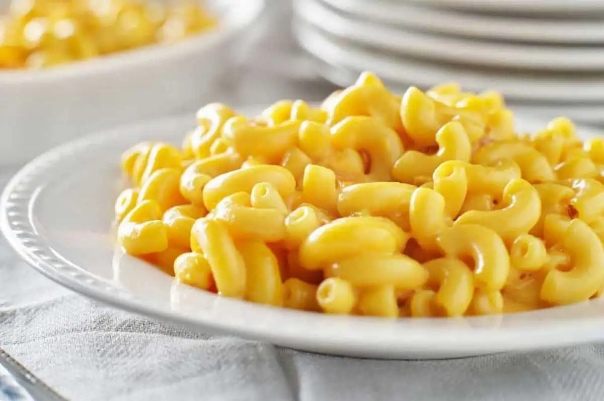 Plate filled with a big pile of vegan mac and cheese.