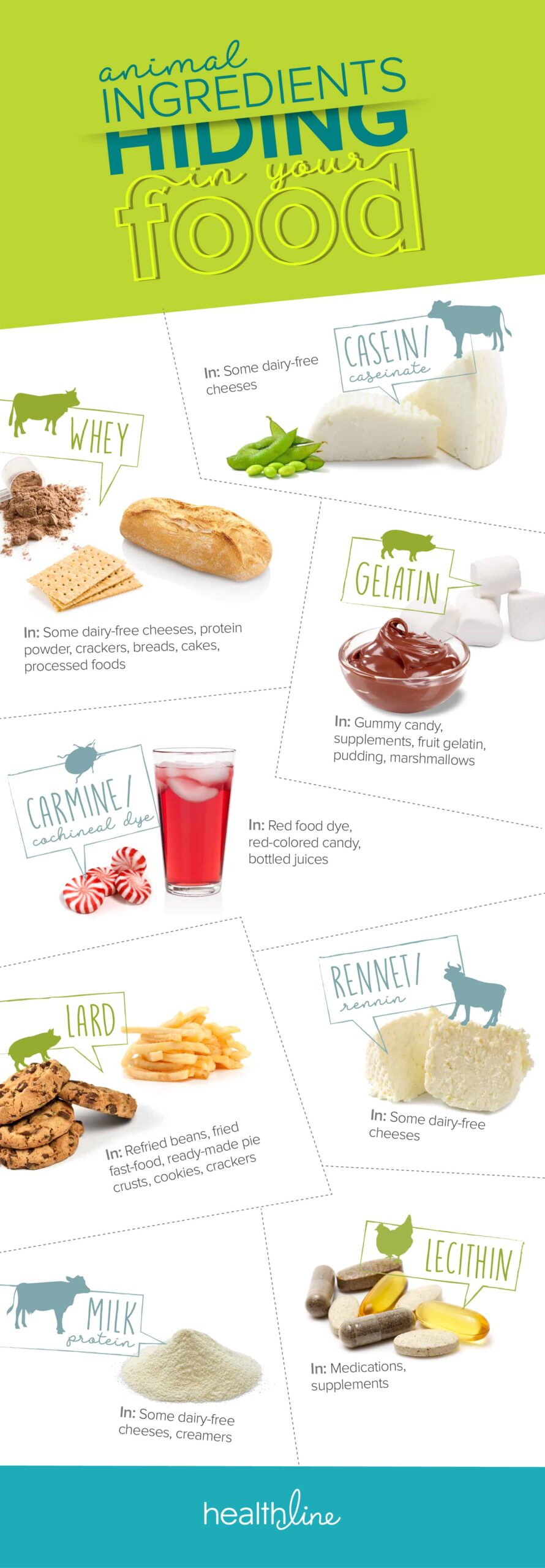 Animal Ingredients That May Be Lurking In Your Food