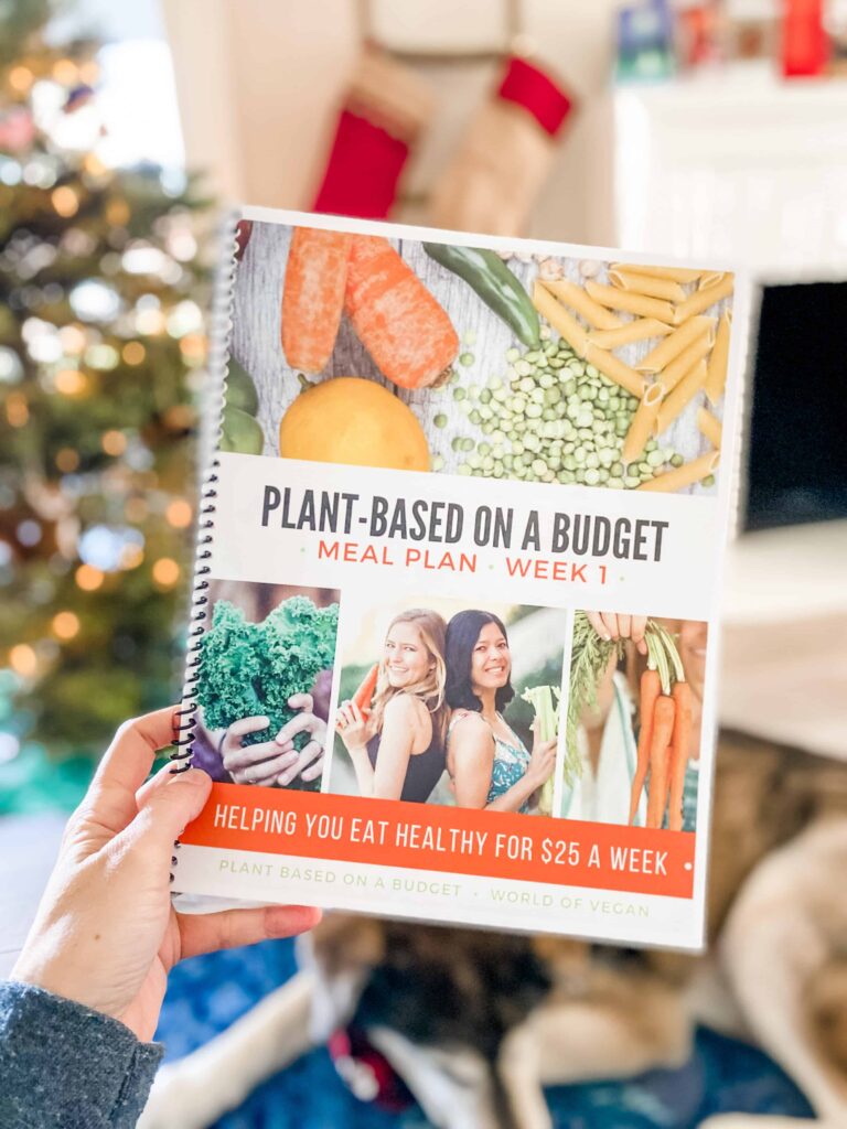 Vegan Meal Plan Challenge | Plant-Based on a Budget | WorldofVegan.com