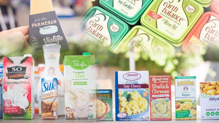 The “Best of Vegan” Food Guide