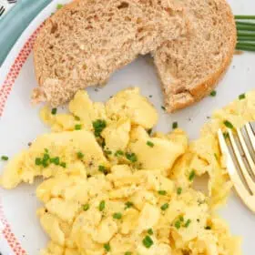 Vegan Eggs from Just Scramble