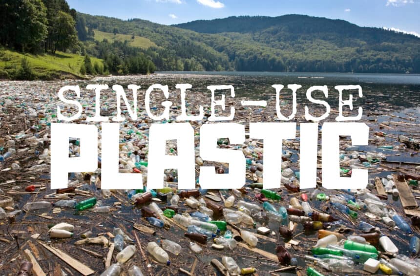 Single use plastic harms animals | World of Vegan | #vegan #plastic #cruelty #oceans #green #worldofvegan