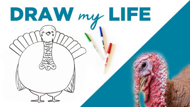 This 'Draw My Life' Video Will Make You Rethink Your Thanksgiving Feast