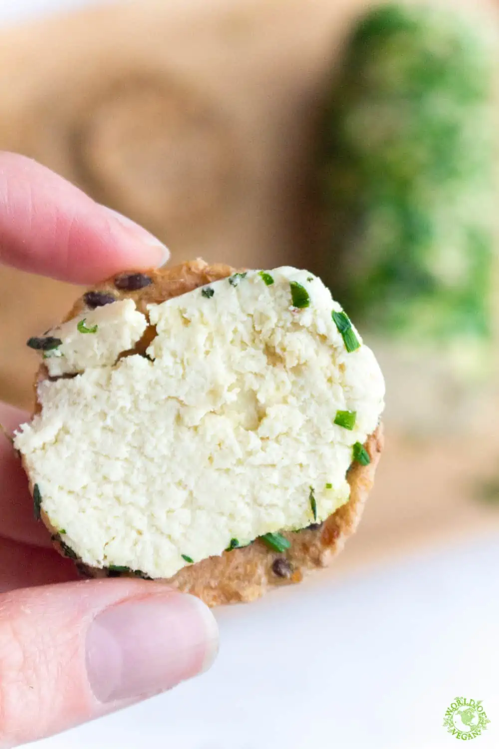 Vegan Cheese Log | Holiday Recipe | WorldofVegan.com | #vegan #cheese #recipe #holiday