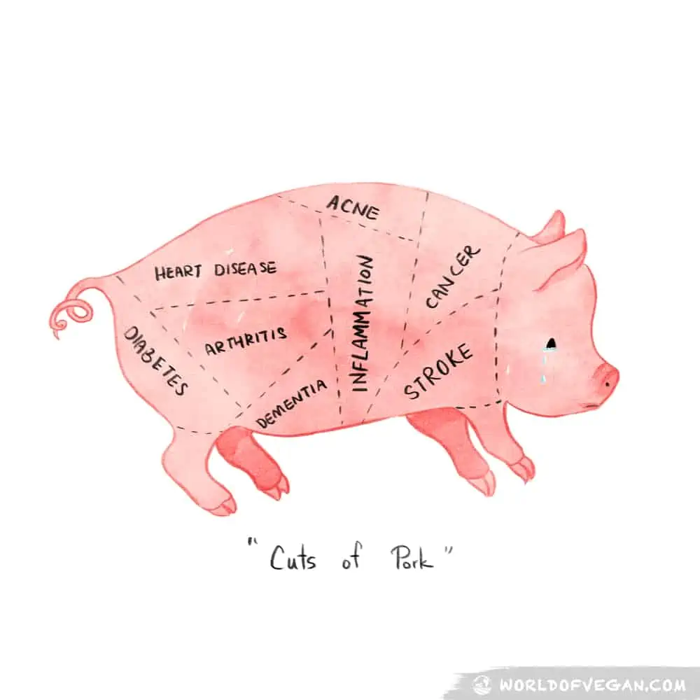 Cuts of Pork | Vegan Illustration