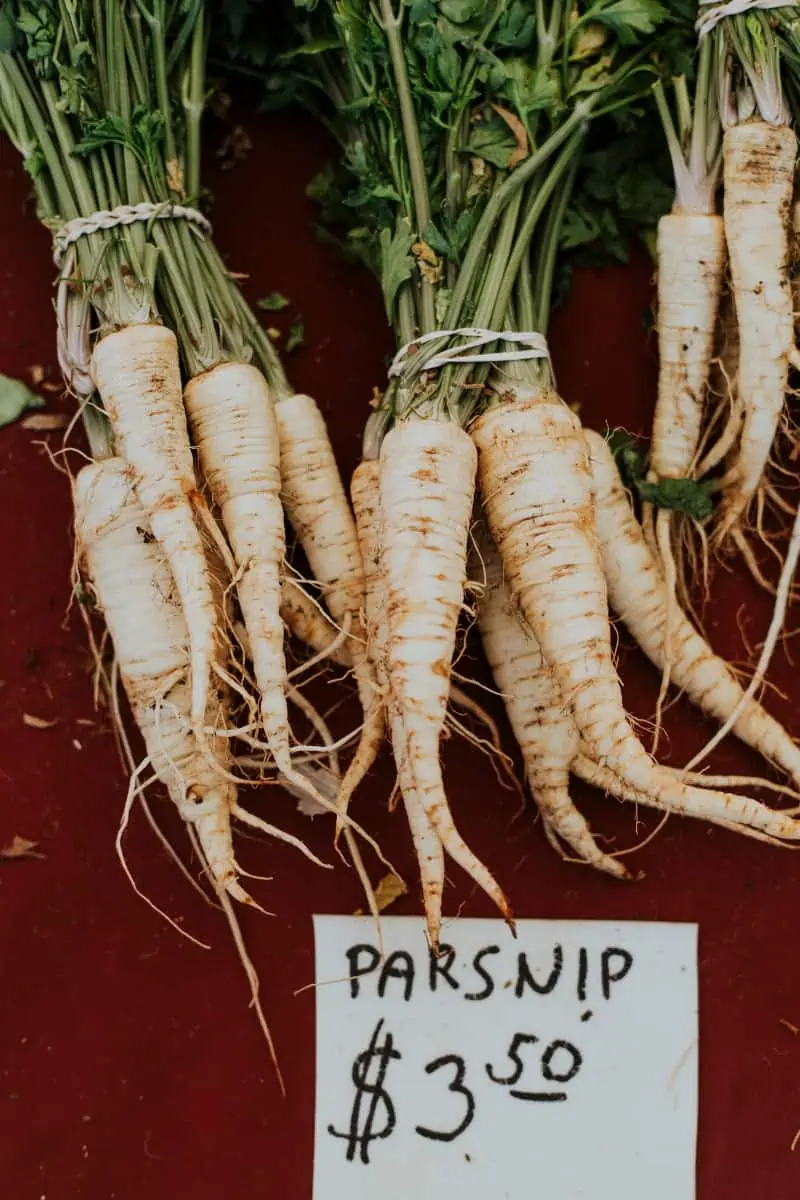 Parsnips | Delicious Winter Squash Soup Recipe | World of Vegan | #vegan #recipe #soup #winter #veggies #parsnip
