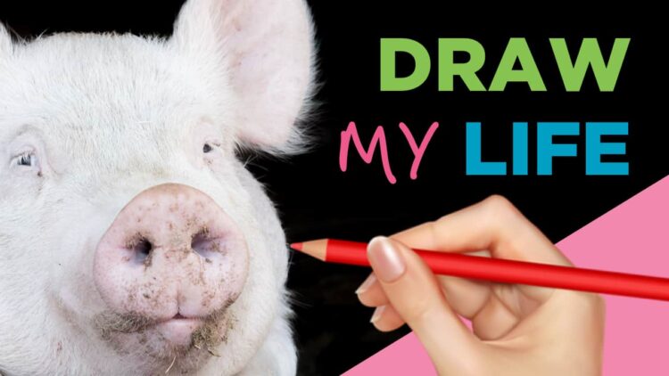 Draw My Life: A Pig's Life In Today's World