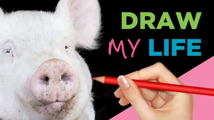 Draw My Life Video: A Pig's Life
