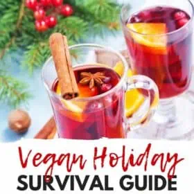 vegan holiday survival guide