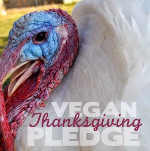 Vegan Thanksgiving Pledge