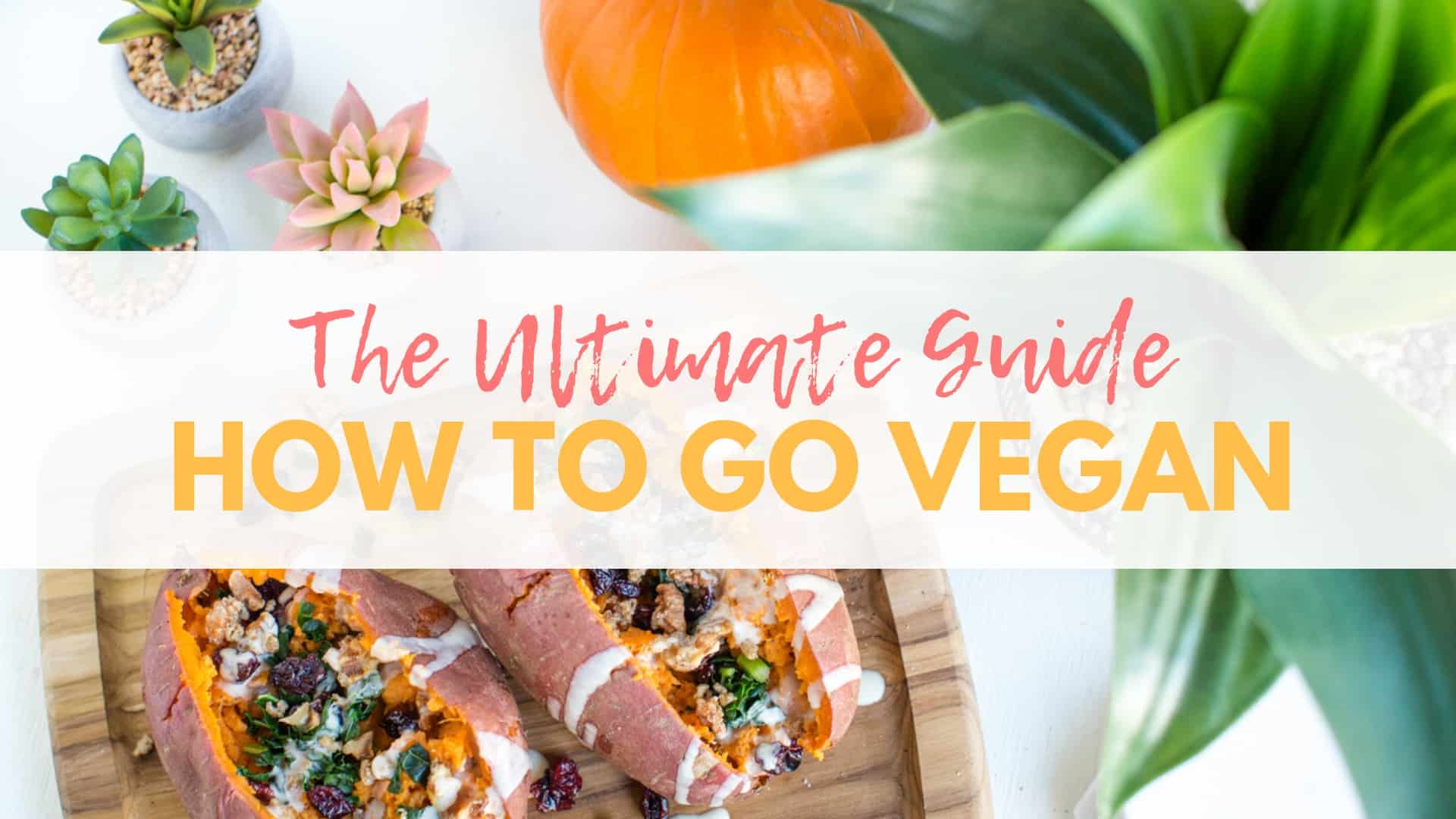 How to Go Vegan: The Ultimate Guide to Plant-Based Living | WorldofVegan.com | #vegan #vegetarian #inspiration #motivation #plantbased