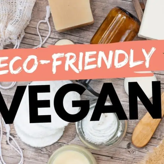 12 Ways to Be A More Eco-Friendly Vegan | Zero-Waste Life Hacks