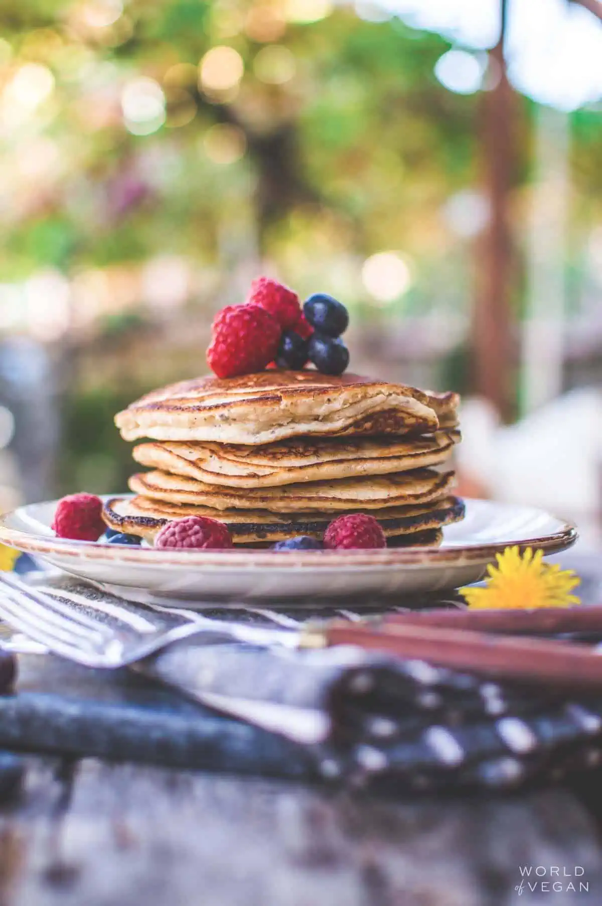 A stack of the best vegan pancakes on a plate, served with berries.