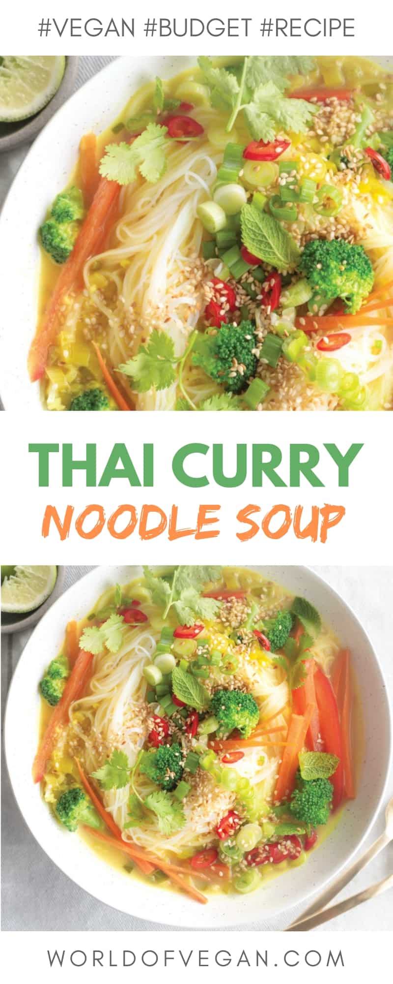 Thai Vermicelli Noodle Soup | Easy Vegan Recipe | WorldofVegan.com | #soup #thai #curry #vermicelli #noodle #winter #cozy #recipe #dinner #vegetarian