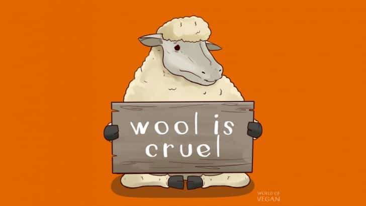 8 Reasons Why Wool Isn’t as Innocent As You Think