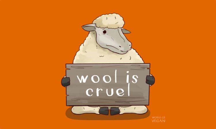 Is Wool Vegan? Guide to Vegan Wool Alternatives & The Wool Industry