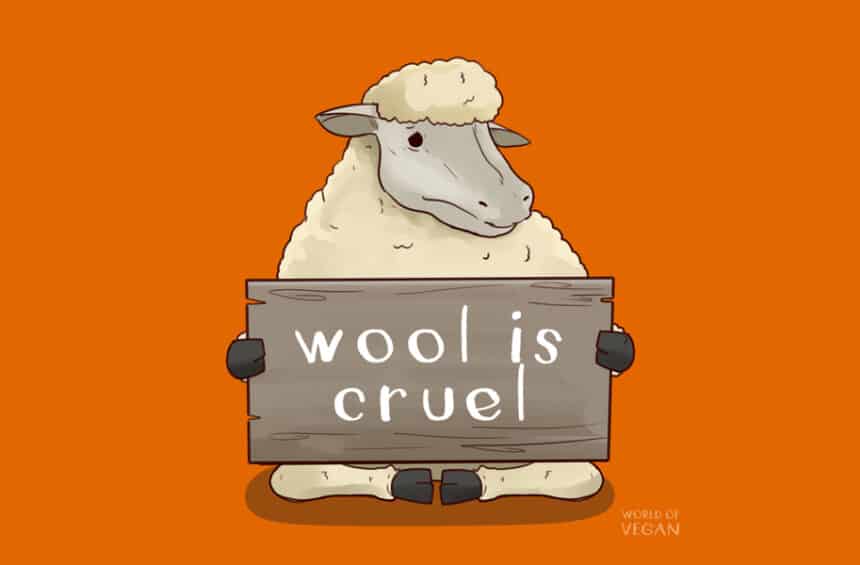 Is Wool Vegan? Guide to Vegan Wool Alternatives & The Wool Industry