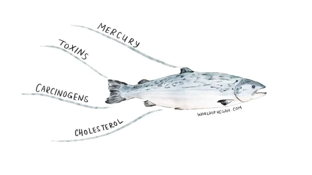 Illustration showing: What's Wrong With Fish? 