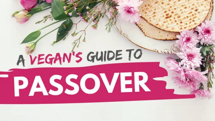 A Vegan's Guide To Passover | Jewsih Holiday | World of Vegan | #passover #vegan #holiday #guide #worldofvegan