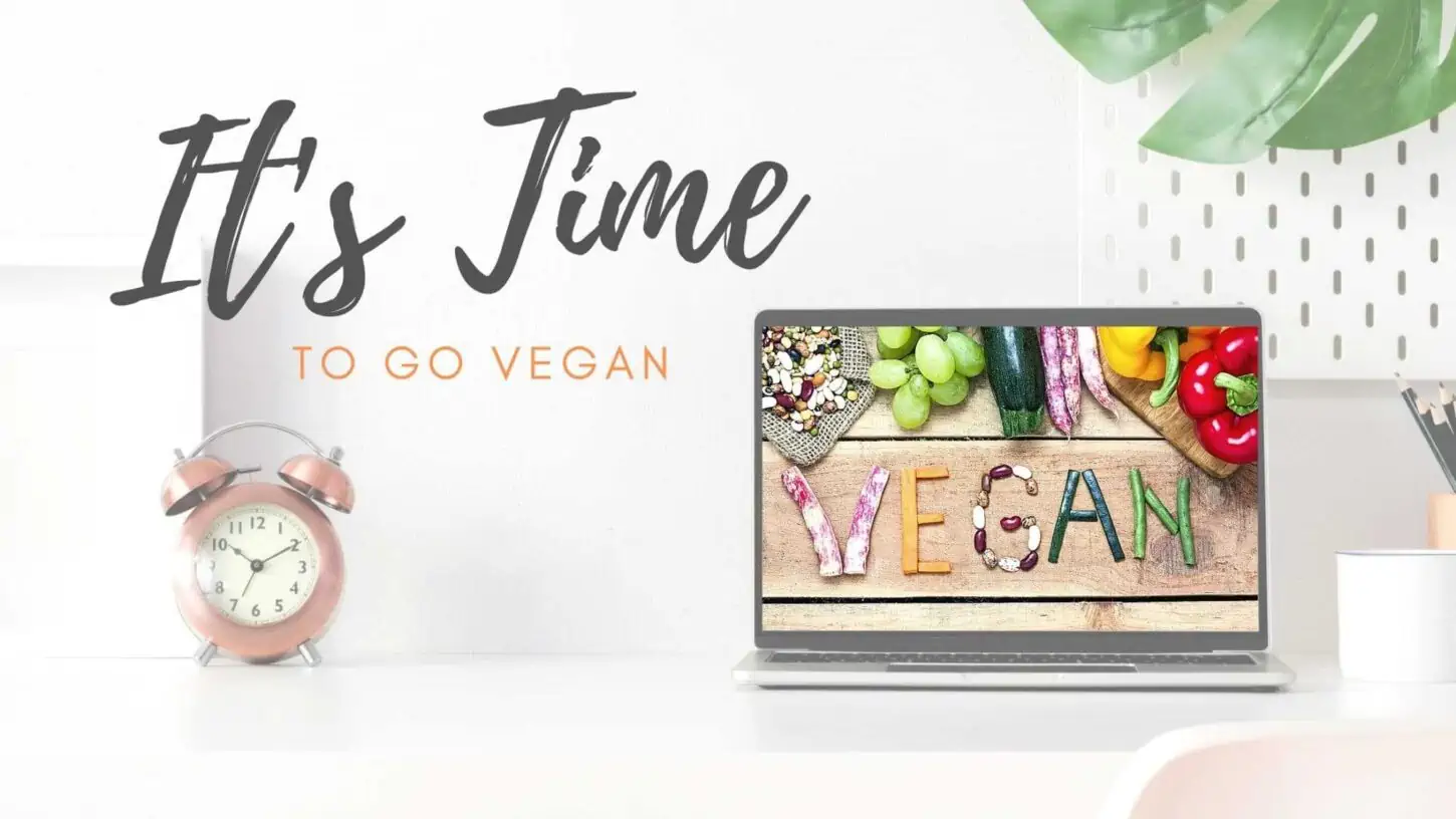 The Best Time to Go Vegan is Now!