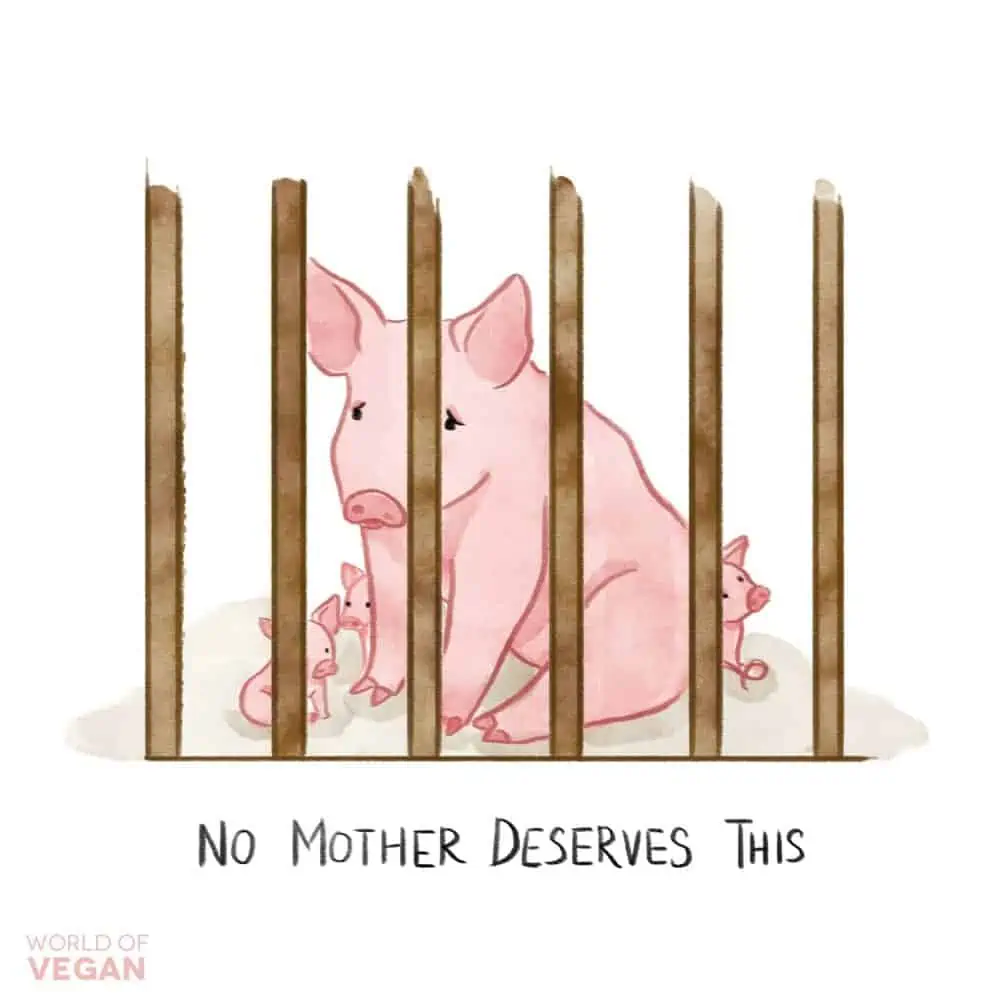 Gestation Crate Illustration | No Mother Deserves This | Vegan Art | WorldofVegan.com | #vegan #art #pig #illustration #animals #worldofvegan