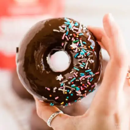 Vegan double chocolate donuts with sprinkles.