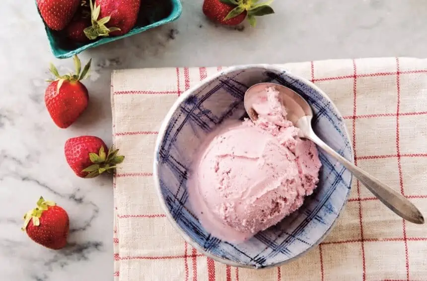 Fresh Vegan Strawberry Ice Cream Recipe | World of Vegan | #strawberry #icecream #vegan #homemade #treat #dessert #worldofvegan