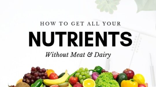 Vegan Nutrition 101: How to Get All Your Nutrients On a Plant-Based Diet