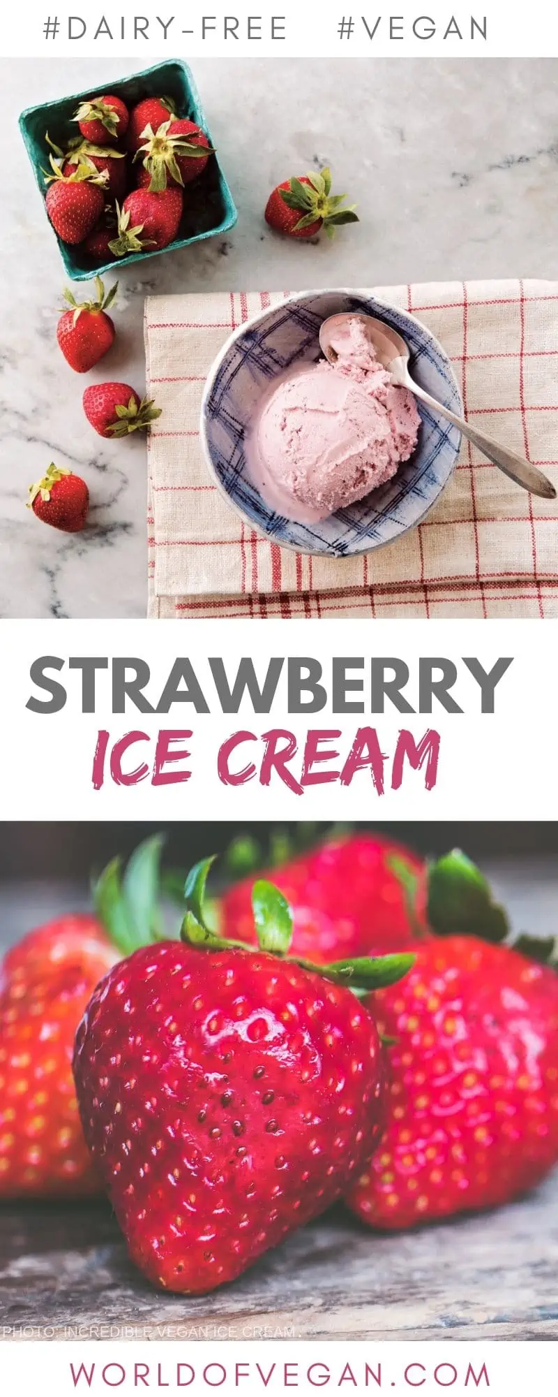 Fresh Vegan Strawberry Ice Cream Recipe | World of Vegan | #strawberry #icecream #vegan #homemade #treat #dessert #worldofvegan