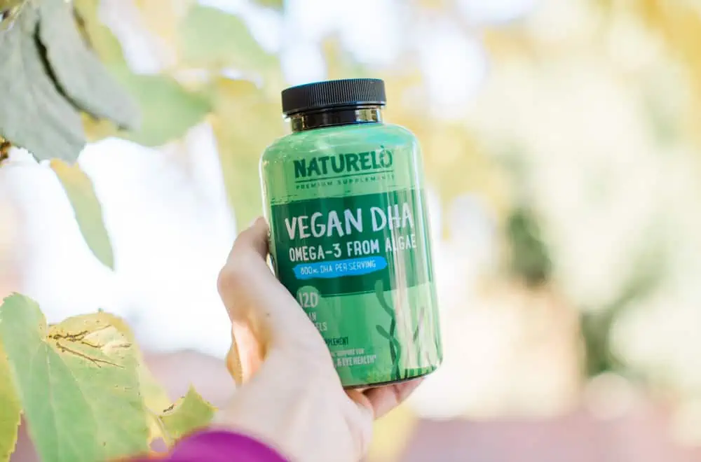Guide to Vegan DHA | How to Get it Without Fish Oil